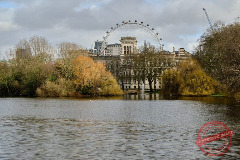 View of London Eye from St James Park